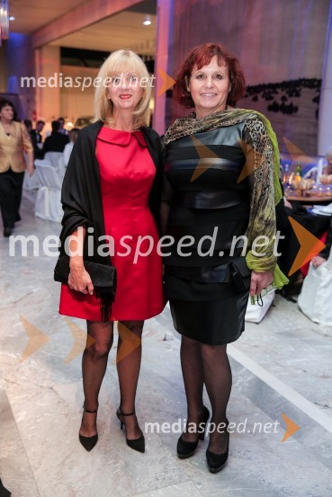  ... ; dr.  Valerija Bužan, direktorica VDC Dolfke Boštjaničič18. Veliki dobrodelni Lions ples