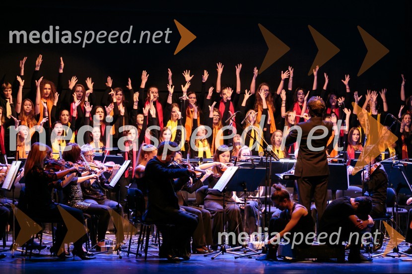 Outstanding 2014, podelitev nagradOutstanding 2014, podelitev nagrad