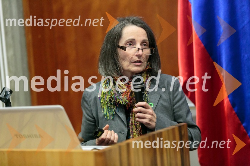  Vida Ogorelec, direktorica, UmanoteraVeliki infrastrukturni projekti v Sloveniji, javni strokovni posvet