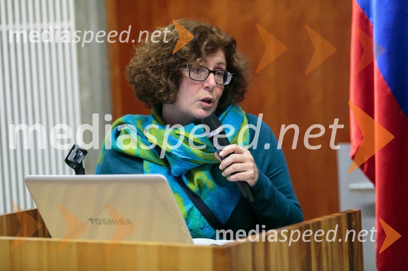  Maja Simoneti,  Inštitut za politike prostoraVeliki infrastrukturni projekti v Sloveniji, javni strokovni posvet