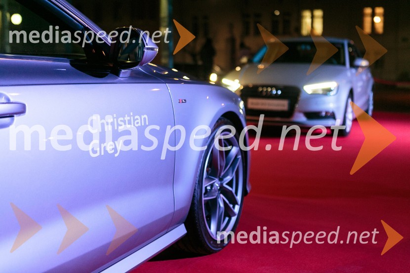 Petdeset odtenkov sive, VIP predpremiera filmaPetdeset odtenkov sive, VIP predpremiera filma