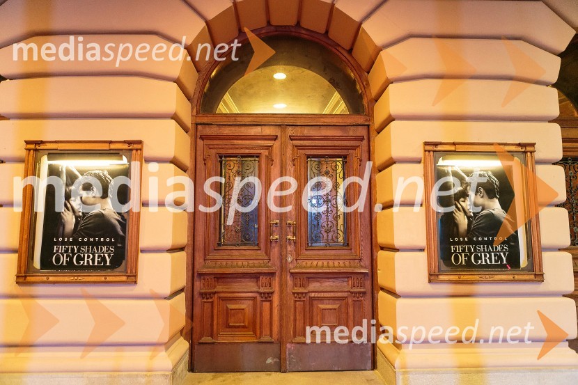 Petdeset odtenkov sive, VIP predpremiera filmaPetdeset odtenkov sive, VIP predpremiera filma