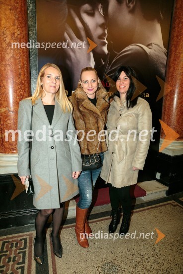 Petdeset odtenkov sive, VIP predpremiera filma