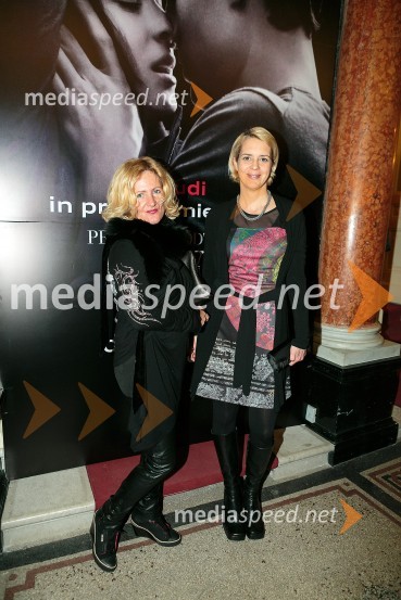 Petdeset odtenkov sive, VIP predpremiera filma