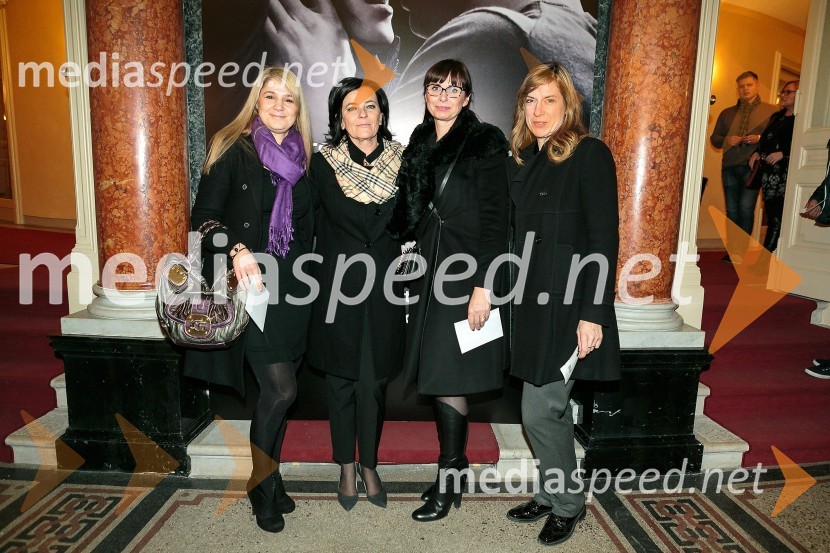 Petdeset odtenkov sive, VIP predpremiera filma