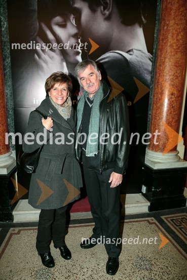 Petdeset odtenkov sive, VIP predpremiera filma