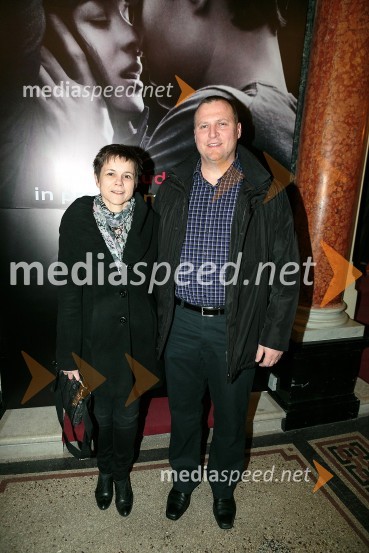 Petdeset odtenkov sive, VIP predpremiera filma