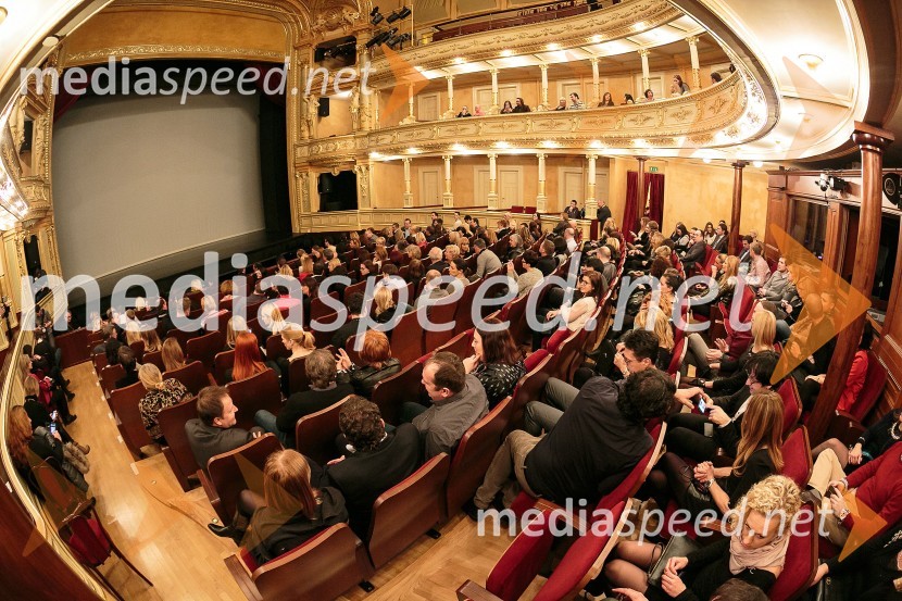 Petdeset odtenkov sive, VIP predpremiera filma