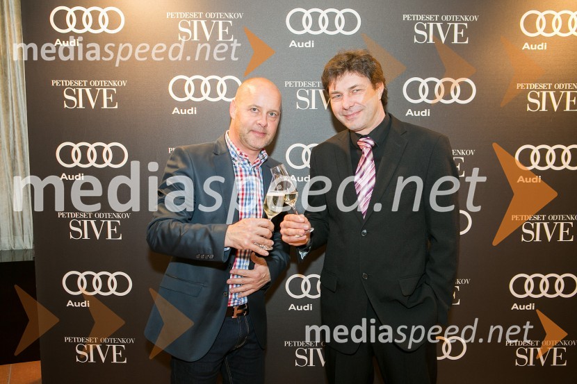 Petdeset odtenkov sive, VIP predpremiera filma