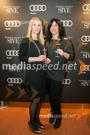 Petdeset odtenkov sive, VIP predpremiera filma