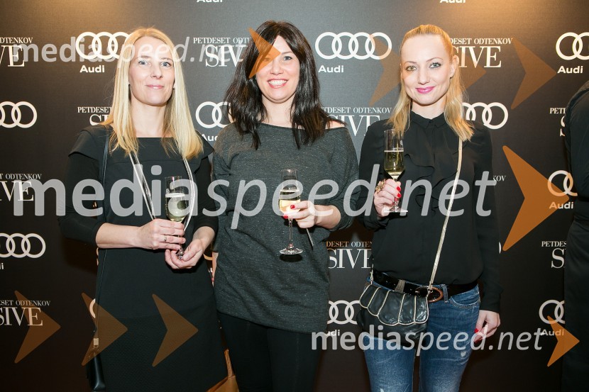 Petdeset odtenkov sive, VIP predpremiera filma