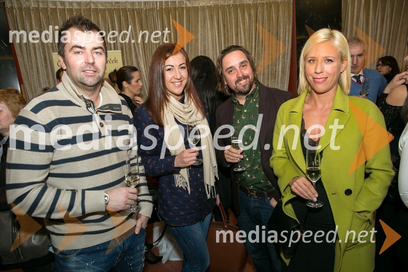 Petdeset odtenkov sive, VIP predpremiera filma