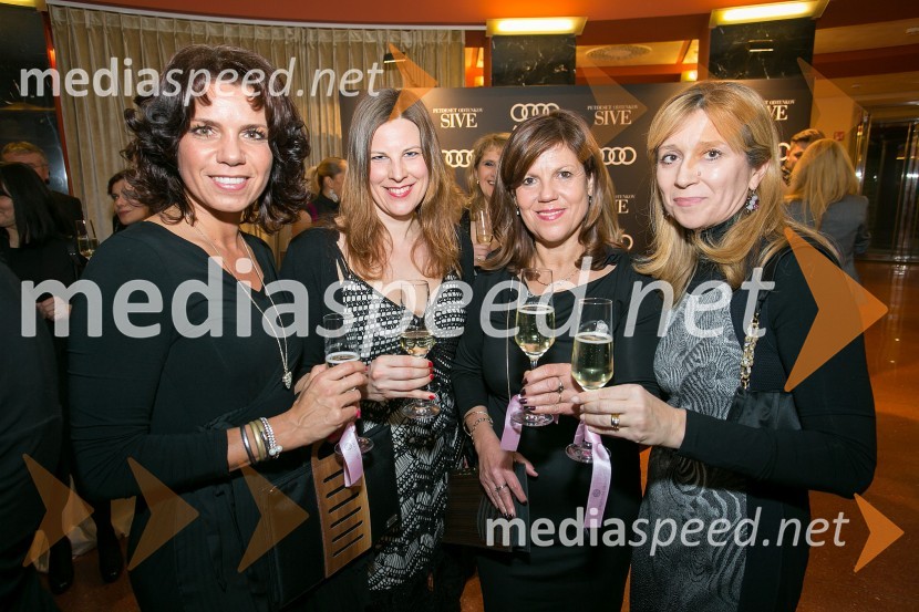 Petdeset odtenkov sive, VIP predpremiera filma