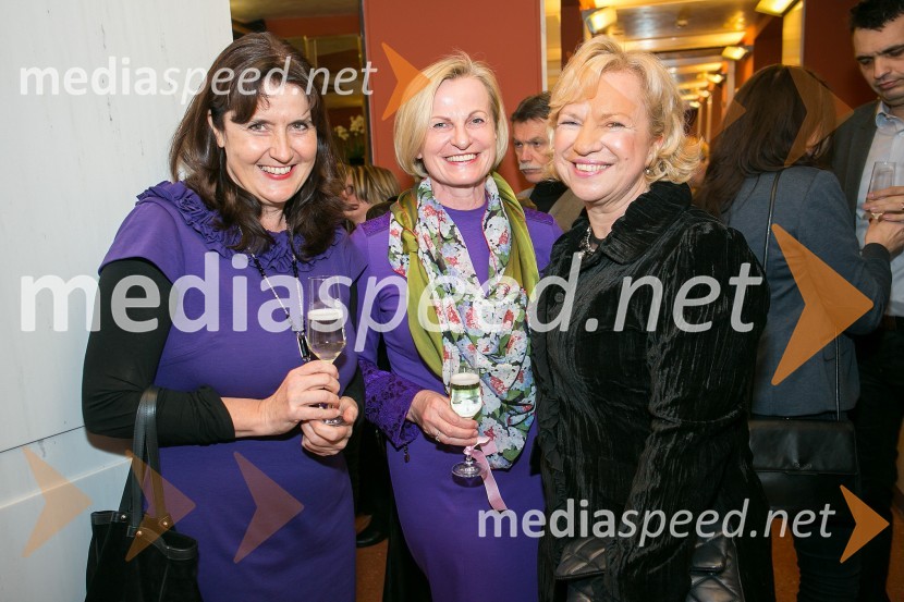 Petdeset odtenkov sive, VIP predpremiera filma