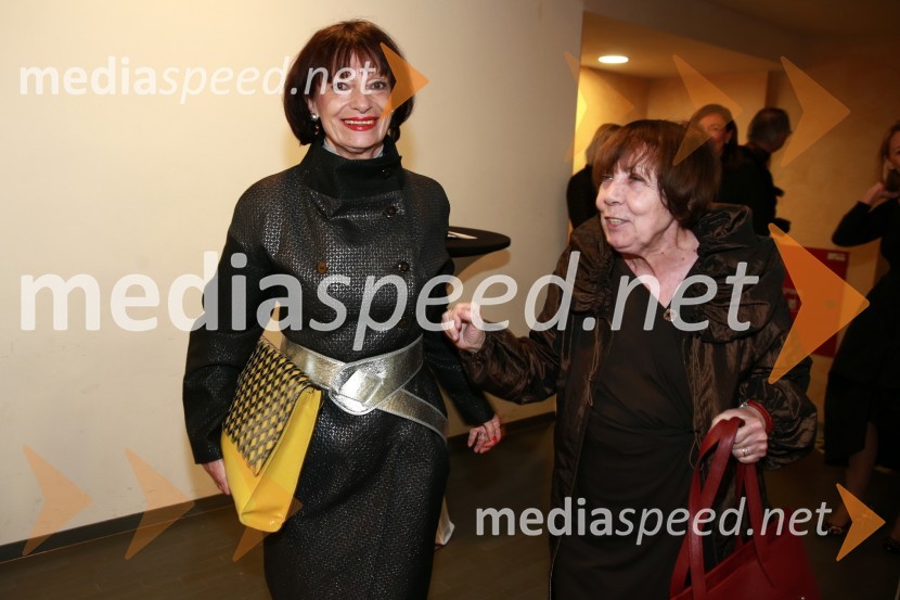 dr. Manca Košir, publicistka;  Gabi  Vogrinčič Čačinovič, psihologinjaOna 365 za leto 2014 je Ninna Kozorog