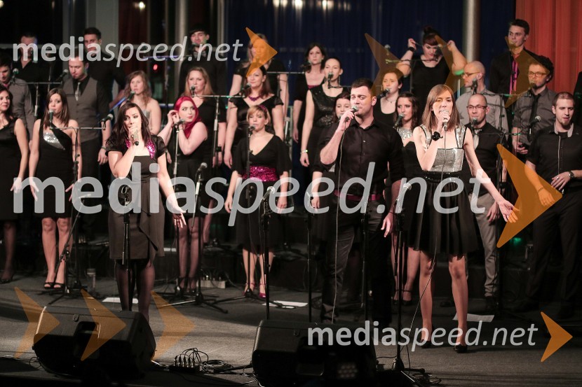  ... ;  Aleš Majerič, član skupine Perpetuum Jazzile;  ... Koncert s Perpetuum Jazzile in novim Ford Focusom