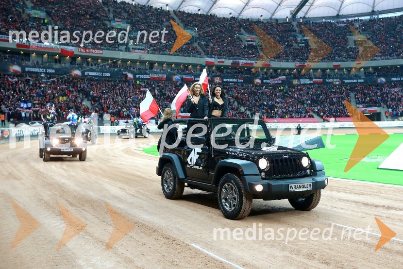 VN Poljske 2015, Varšava, Narodni stadionMatej Žagar zmagovalec nenavadne dirke za VN Poljske