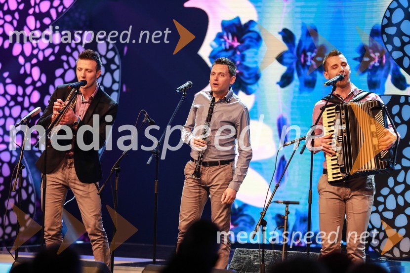 Člani ansambla Ognjeni muzikanti20. festival Slovenska polka in valček