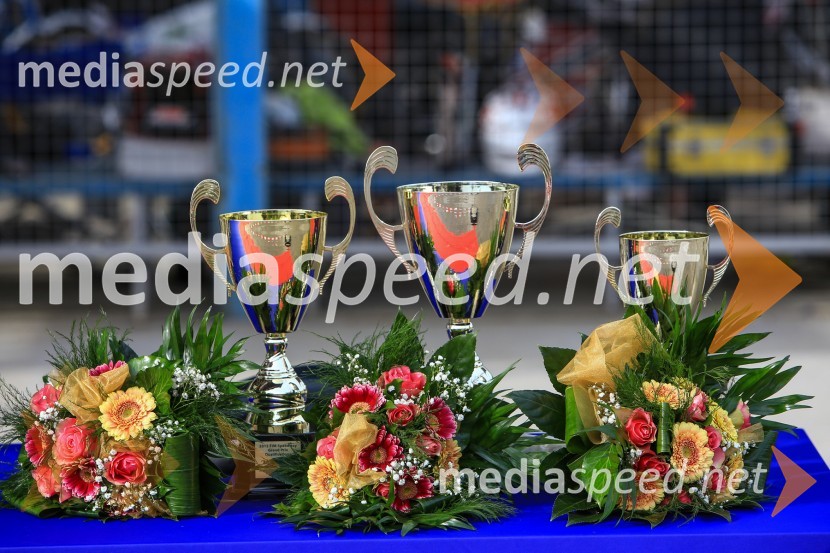 Speedway Grand Prix Qualifications, Round 1, 2015