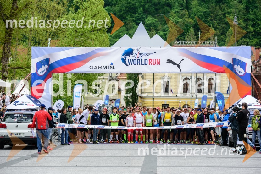 Mediaspeed Wings For Life World Run 2015