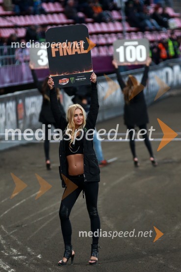 Speedway Grand Prix 2015, Žagar deveti na VN Finske