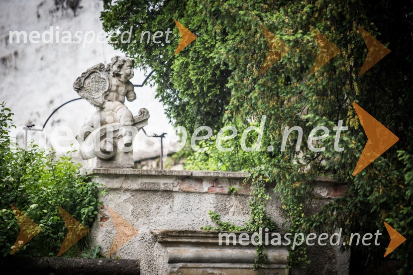 Ptuj je gostil prvi Salon Sauvignon