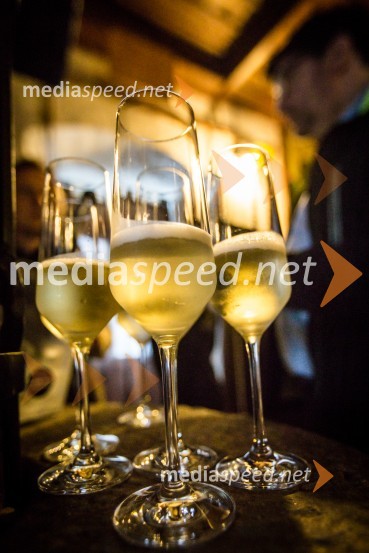 Ptuj je gostil prvi Salon Sauvignon