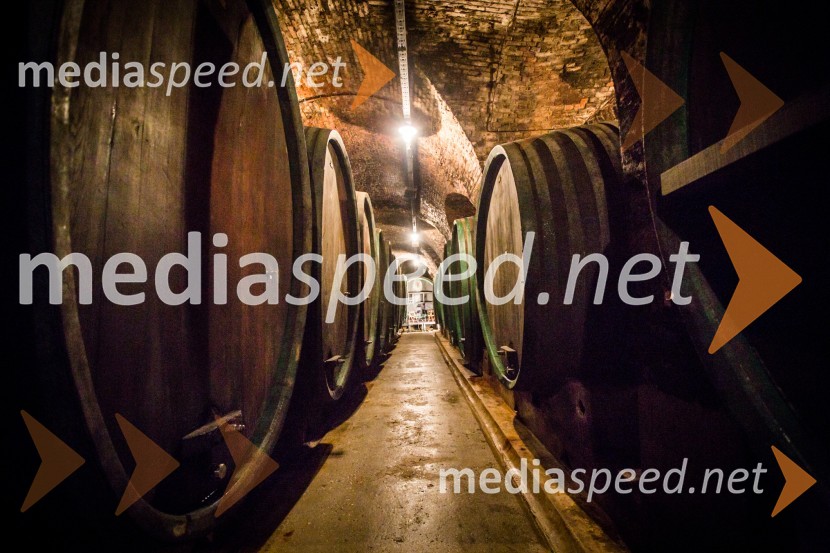 Ptuj je gostil prvi Salon Sauvignon