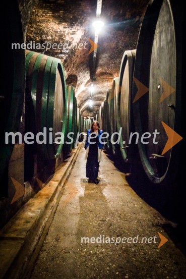 Ptuj je gostil prvi Salon Sauvignon