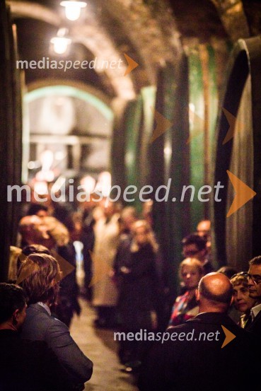 Ptuj je gostil prvi Salon Sauvignon