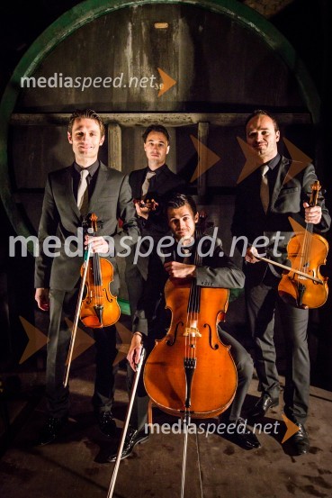 Ptuj je gostil prvi Salon Sauvignon