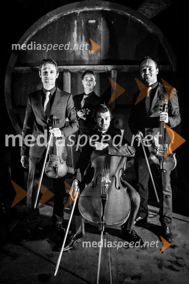 Ptuj je gostil prvi Salon Sauvignon