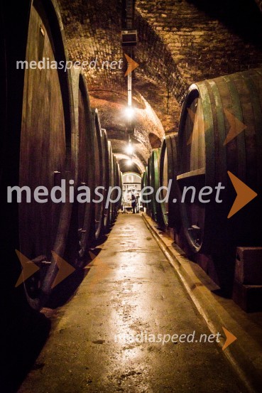 Ptuj je gostil prvi Salon Sauvignon