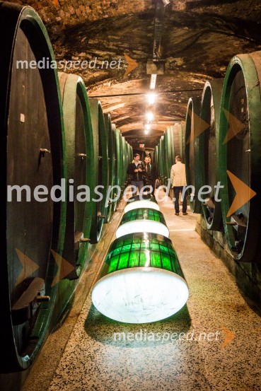 Ptuj je gostil prvi Salon Sauvignon