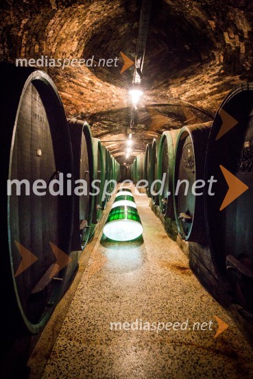 Ptuj je gostil prvi Salon Sauvignon