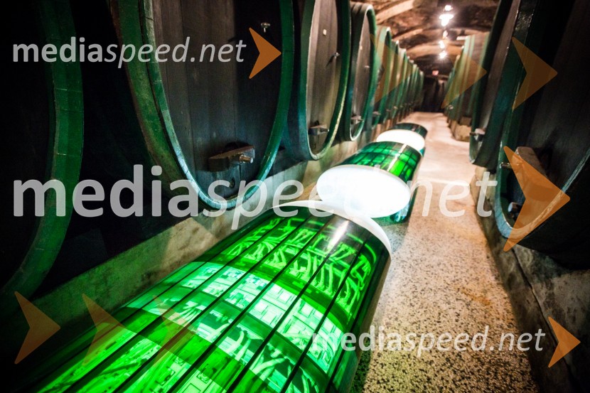 Ptuj je gostil prvi Salon Sauvignon