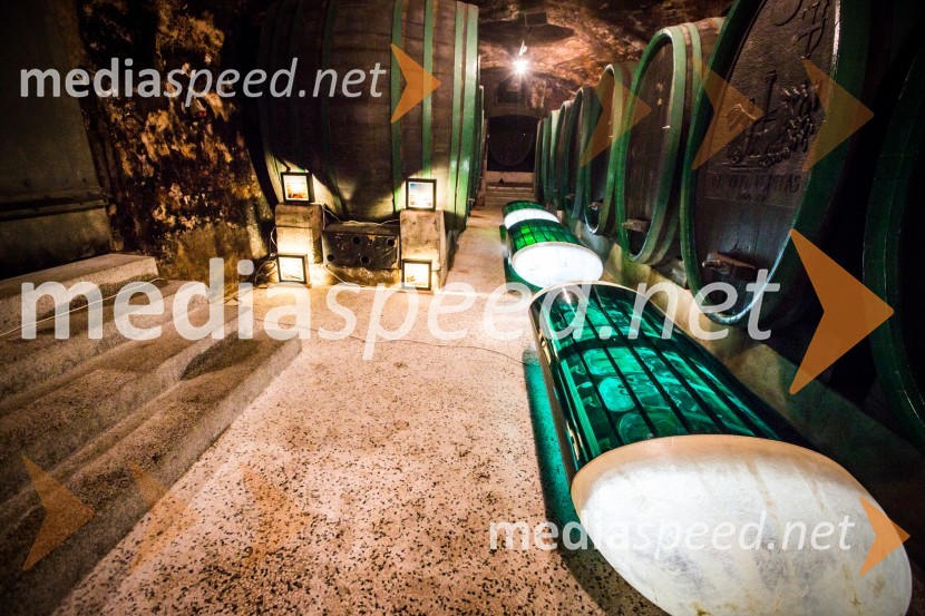 Ptuj je gostil prvi Salon Sauvignon