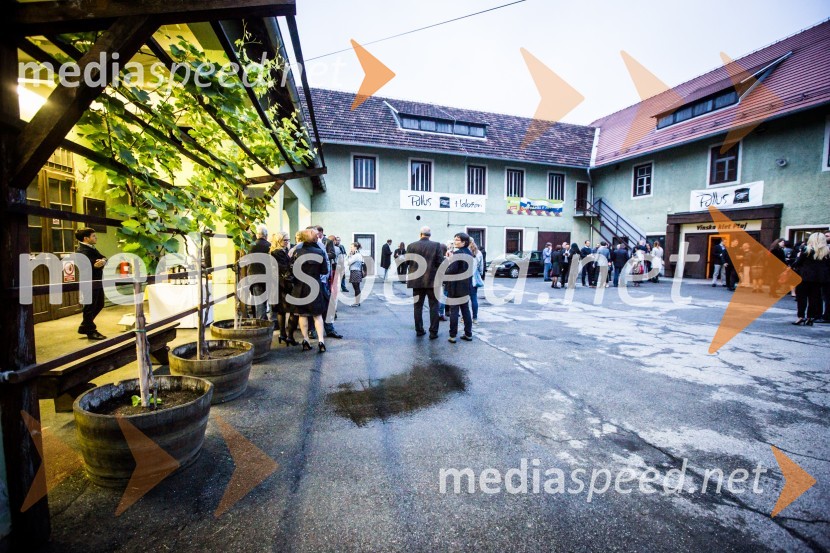 Ptuj je gostil prvi Salon Sauvignon