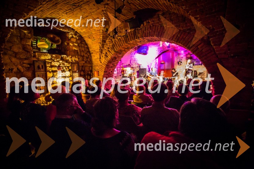 Ptuj je gostil prvi Salon Sauvignon