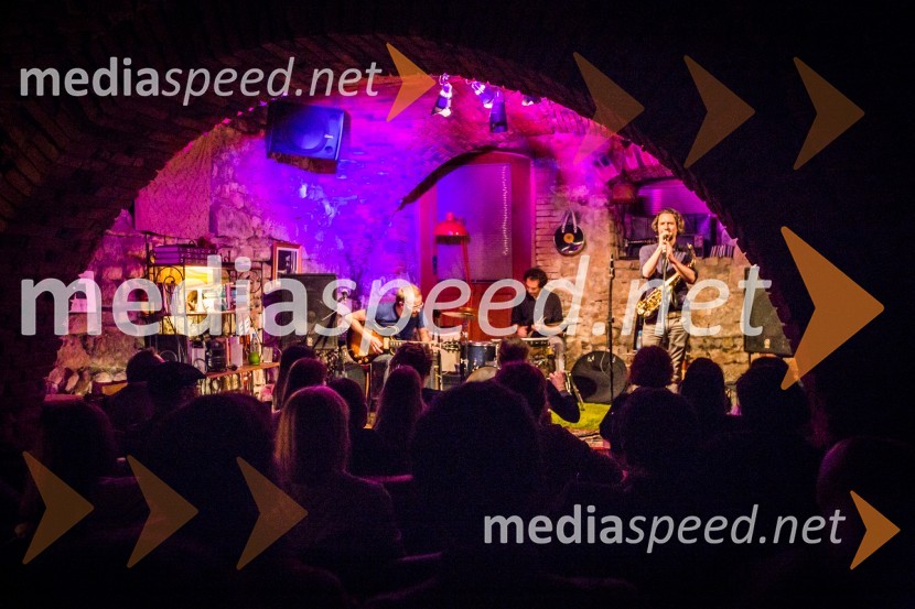 Ptuj je gostil prvi Salon Sauvignon