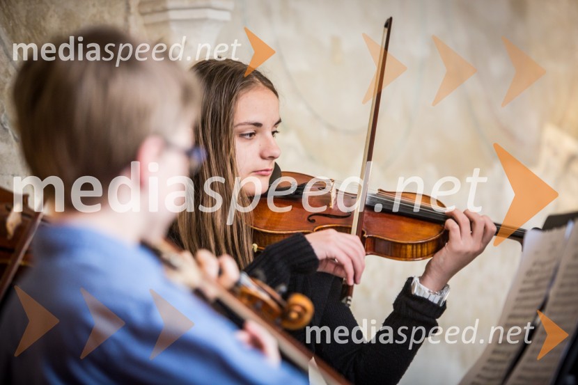 Ptuj je gostil prvi Salon Sauvignon