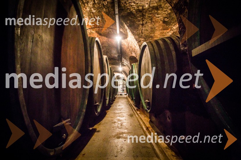 Ptuj je gostil prvi Salon Sauvignon