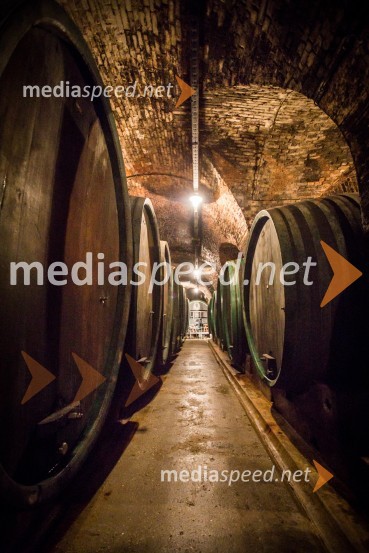 Ptuj je gostil prvi Salon Sauvignon