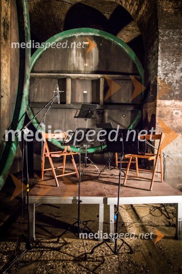 Ptuj je gostil prvi Salon Sauvignon