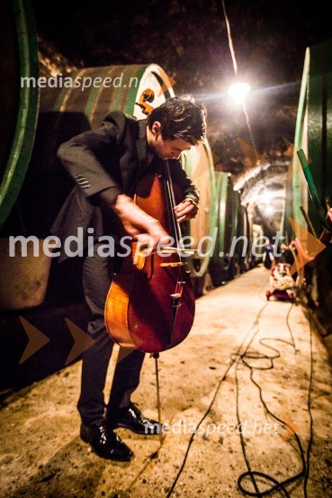 Ptuj je gostil prvi Salon Sauvignon