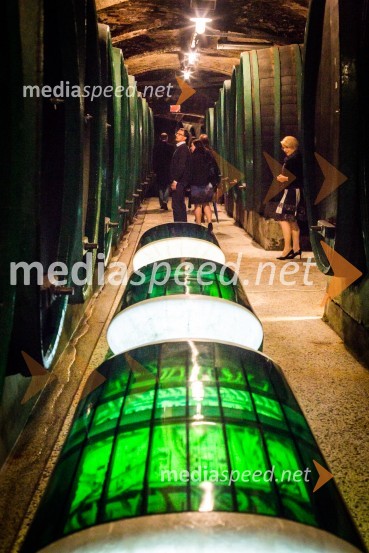 Ptuj je gostil prvi Salon Sauvignon