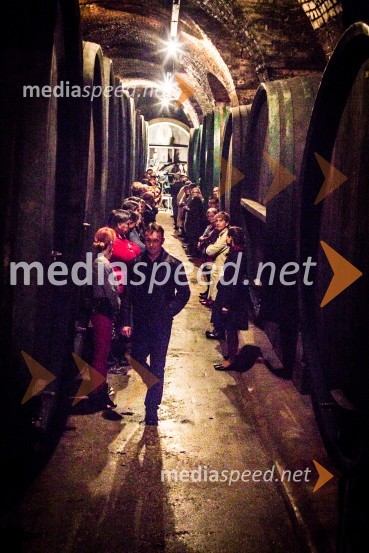 Ptuj je gostil prvi Salon Sauvignon