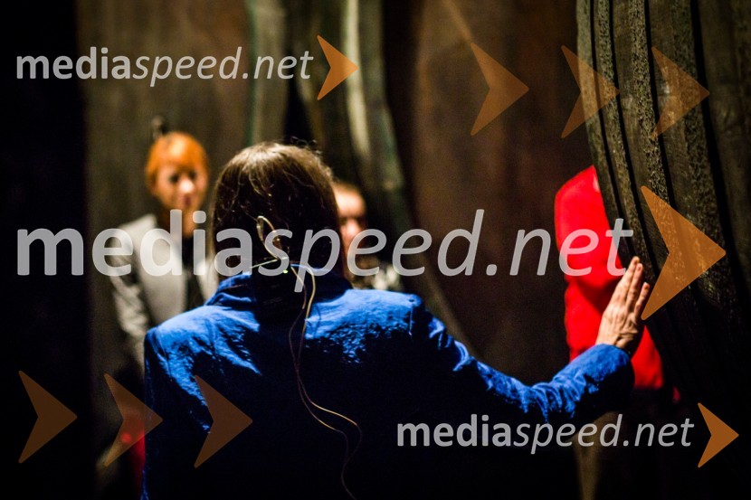 Ptuj je gostil prvi Salon Sauvignon