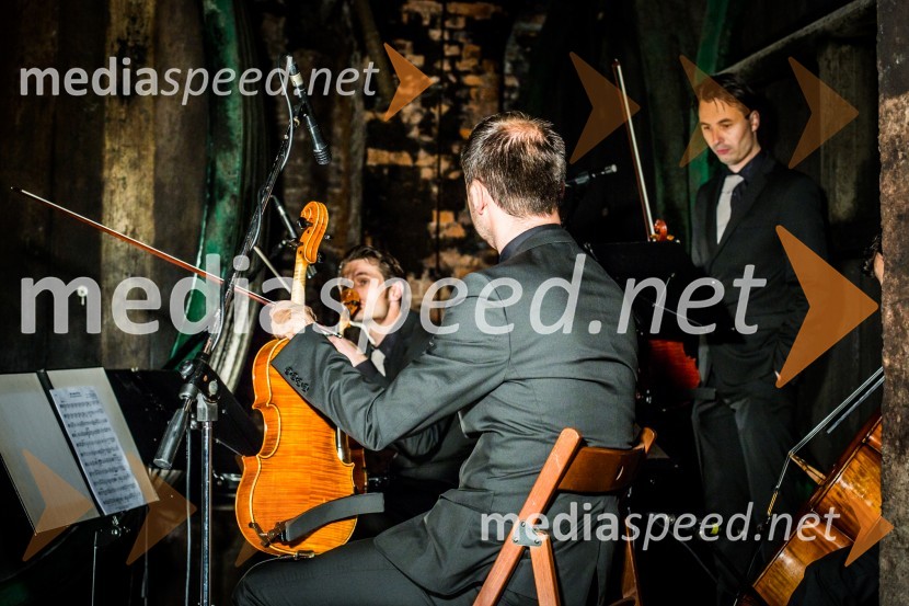 Ptuj je gostil prvi Salon Sauvignon