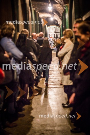 Ptuj je gostil prvi Salon Sauvignon